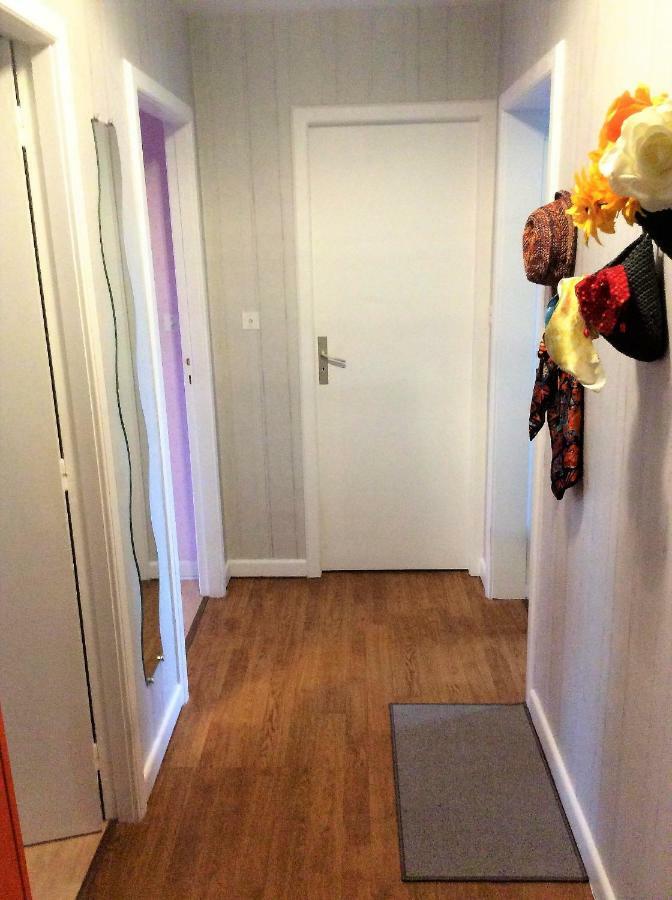 Les Balcons De Lisa Apartment Vieux-Charmont Екстериор снимка